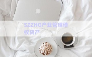 SZZHG產(chǎn)業(yè)管理債權資產(chǎn)