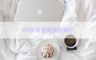 XX水務(wù)發(fā)展債權(quán)資產(chǎn)