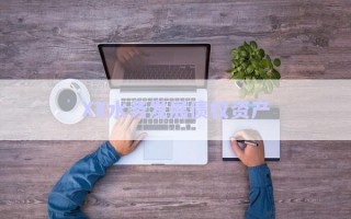 XX水務(wù)發(fā)展債權(quán)資產(chǎn)