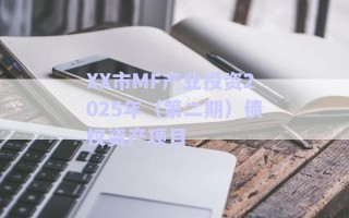 XX市MF產(chǎn)業(yè)投資2025年（第二期）債權(quán)資產(chǎn)項目