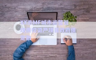 XX市MF城市運(yùn)營管理債權(quán)資產(chǎn)項(xiàng)目政府債定融