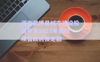河南武陟縣城市建設(shè)投資開發(fā)2025年債權(quán)項目政府債定融