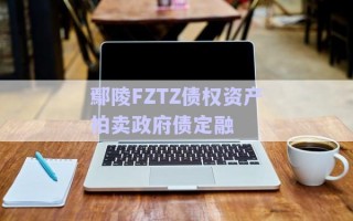 鄢陵FZTZ債權資產拍賣政府債定融