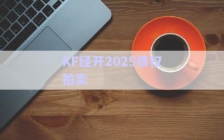 KF經(jīng)開2025債權(quán)拍賣