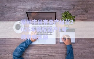 偃師市國(guó)有資產(chǎn)經(jīng)營(yíng)2025年債權(quán)資產(chǎn)1號(hào)政府債定融