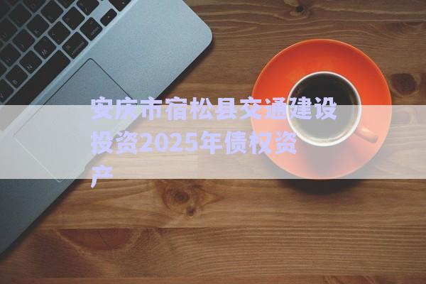 安慶市宿松縣交通建設(shè)投資2025年債權(quán)資產(chǎn)-第1張圖片-政信固收網(wǎng)